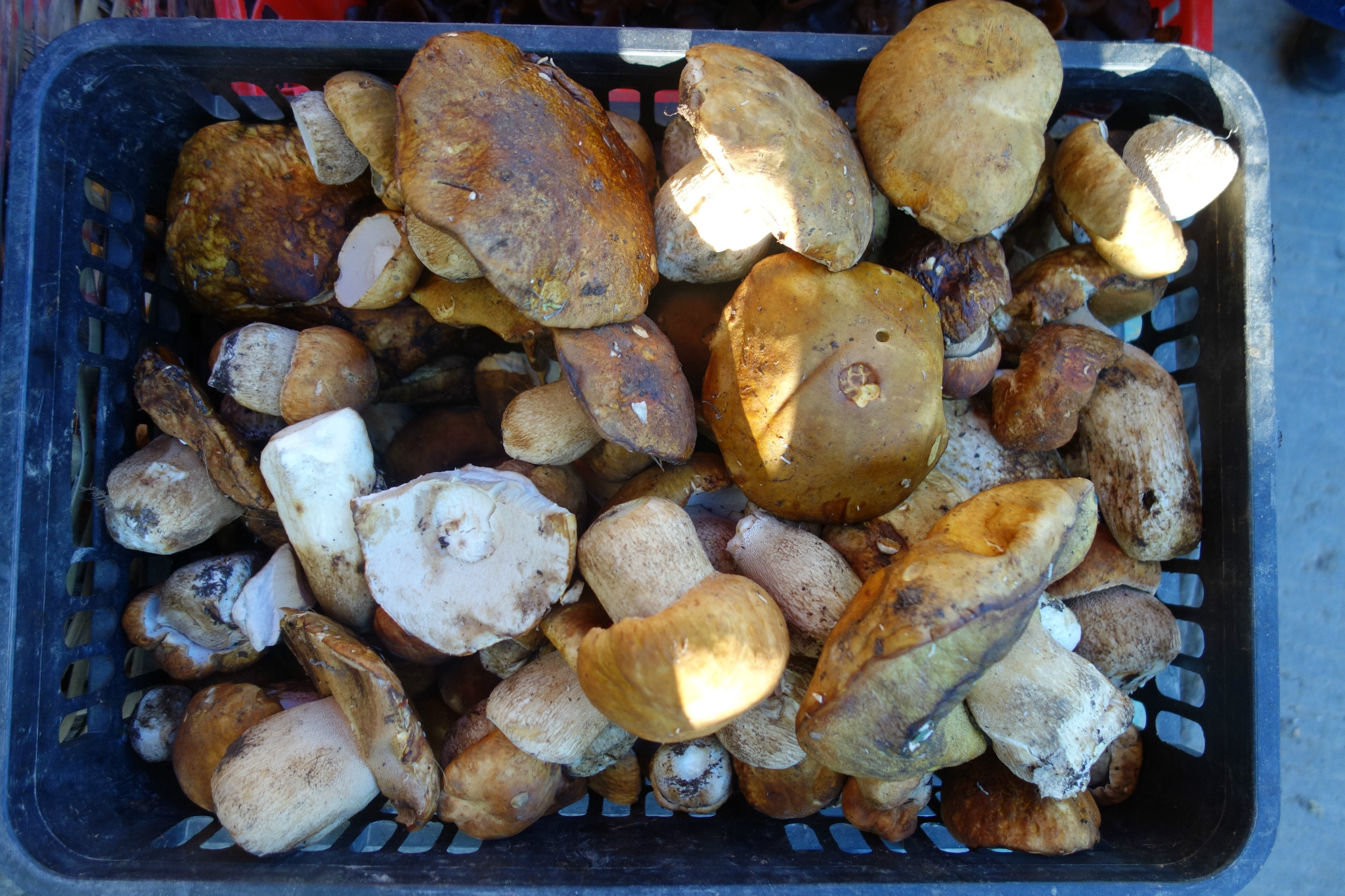 wKgBpVXOigqAbsYFAA345nKReO062.jpeg?imageView2%2F2%2Fw%2F680%2Fq%2F90