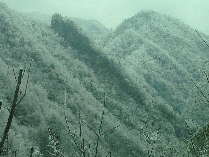 桥下镇小岙人口_桥下镇麻岙村(3)