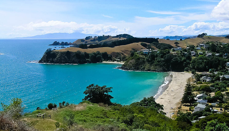 新西兰奥克兰激流岛美食美酒精华一日游(怀赫科岛waiheke island)