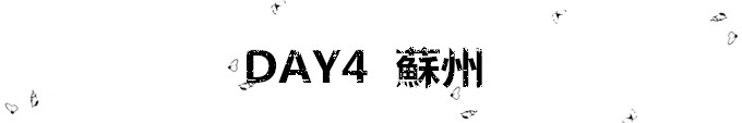 Day 4 Day 4
