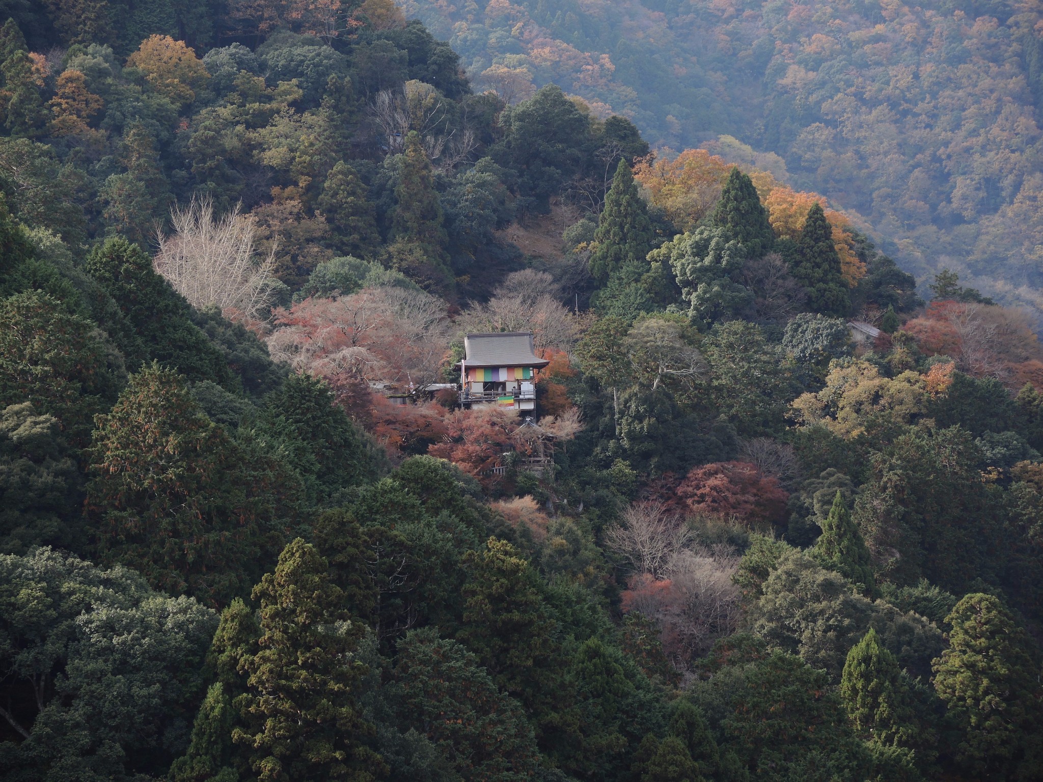 京都自助遊攻略