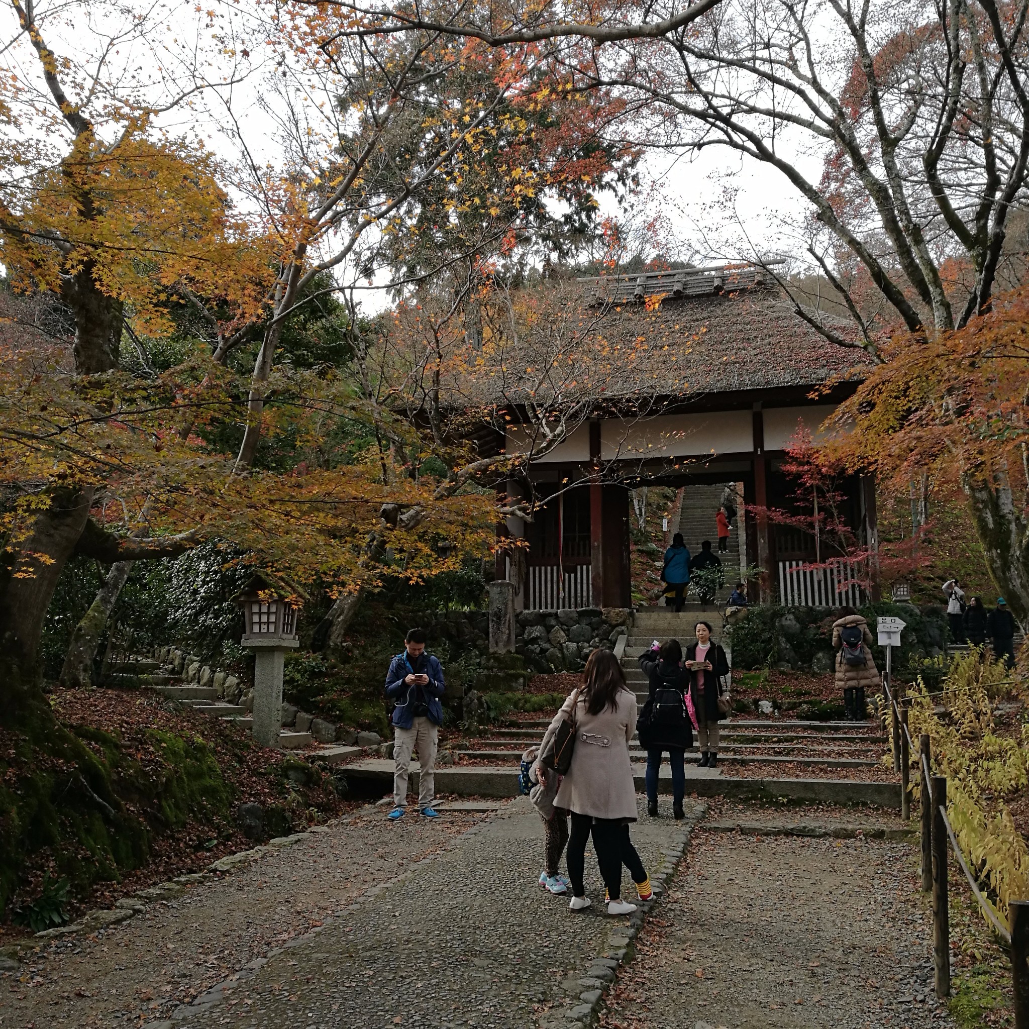 京都自助遊攻略