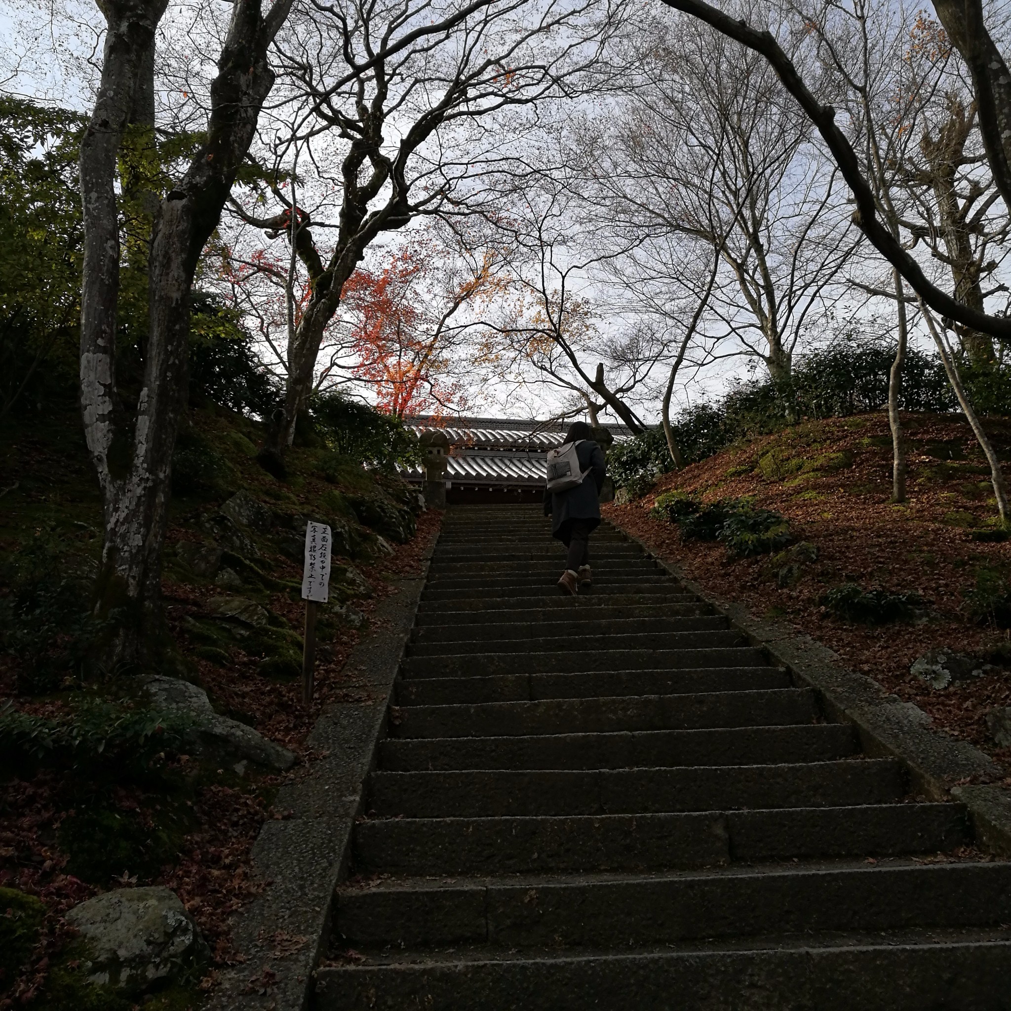 京都自助遊攻略