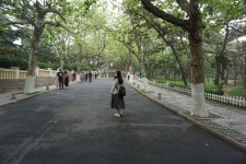 八大关 八大关
