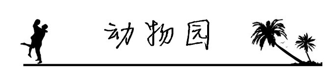 3.动物园 3.动物园