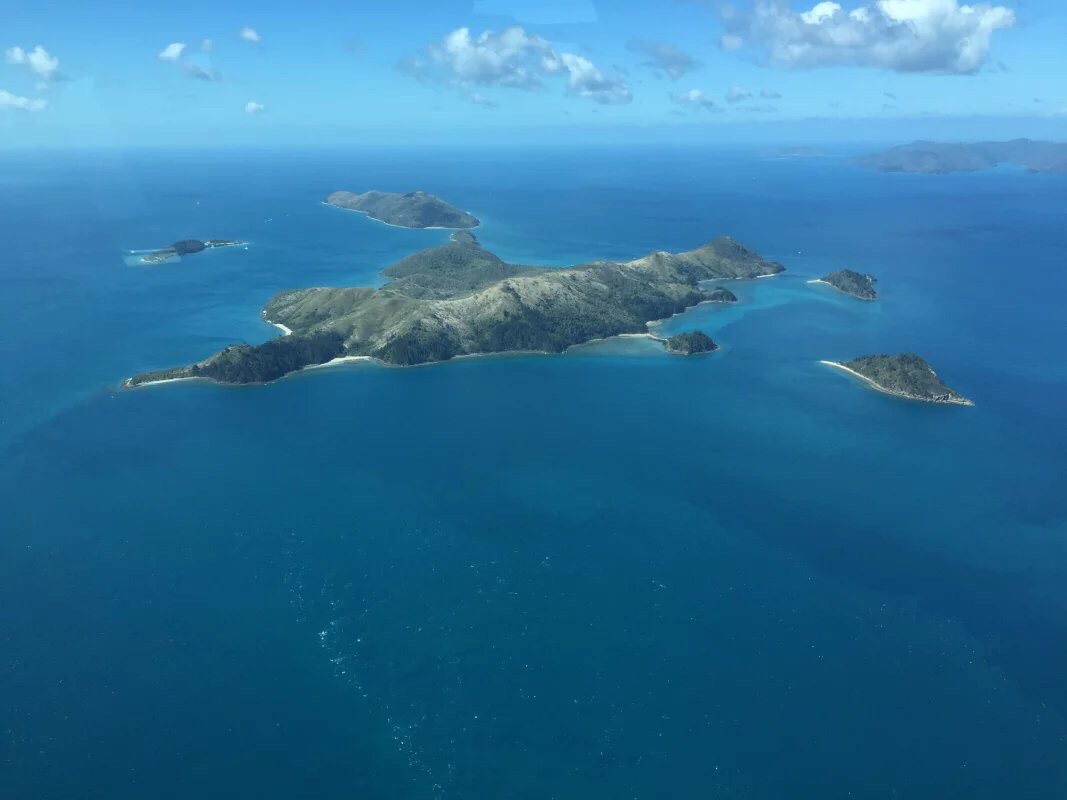 香波地群岛人口拍卖是几号_香波地群岛