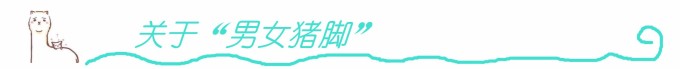关于“男女猪脚” 关于“男女猪脚”