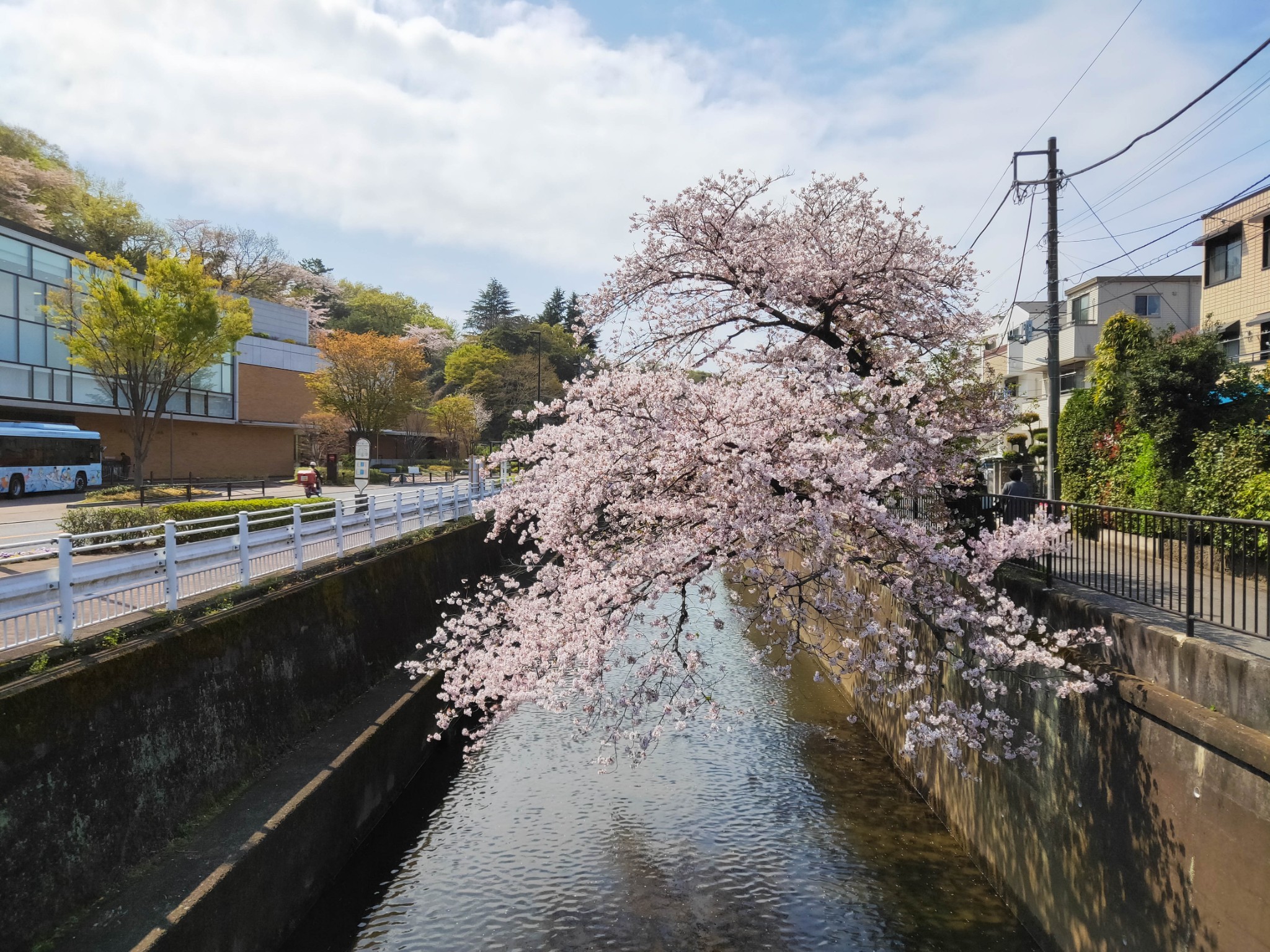 京都自助遊攻略