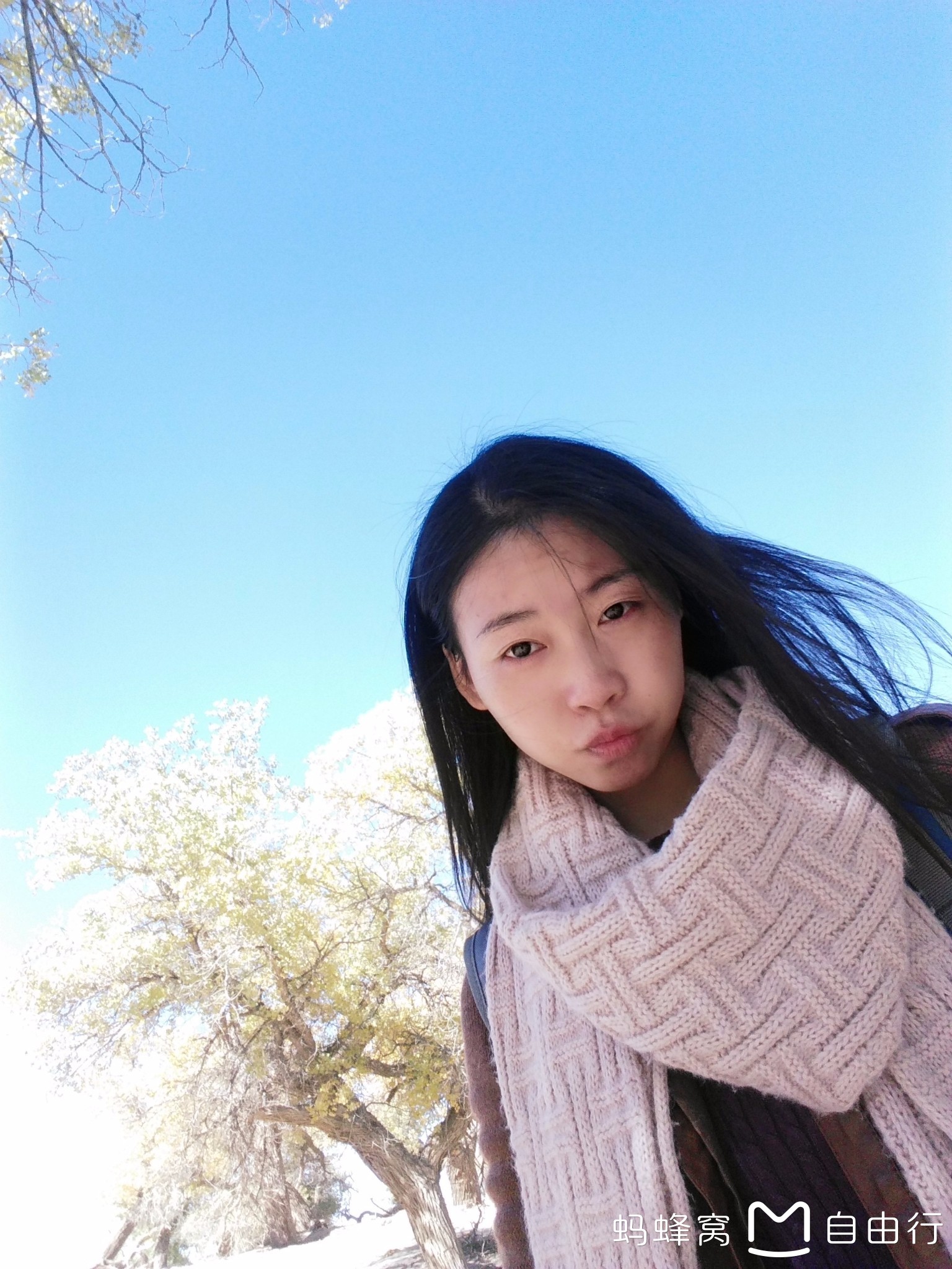 wKgBs1gOHcOAd7brAAo2WalQZyY97.jpeg?imageView2%2F2%2Fw%2F680%2Fq%2F90