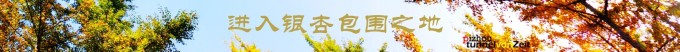 进入银杏包围之地 进入银杏包围之地