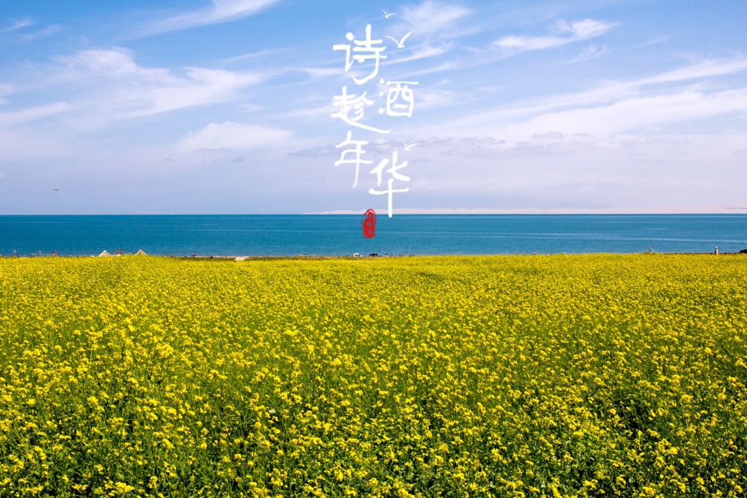 喜欢                                 #诗酒趁年华#大美青海