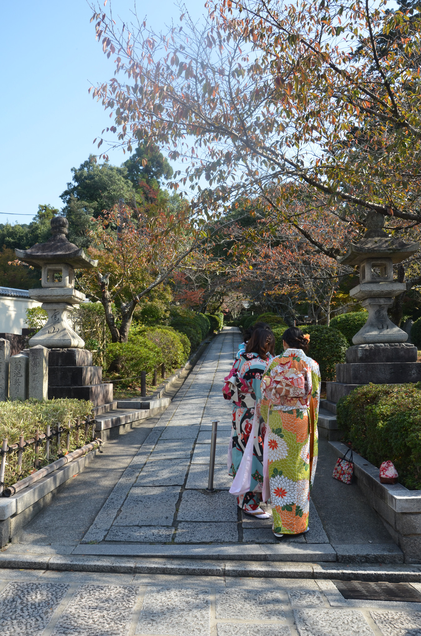 京都自助遊攻略