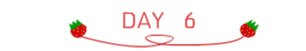 DAY 6 DAY 6