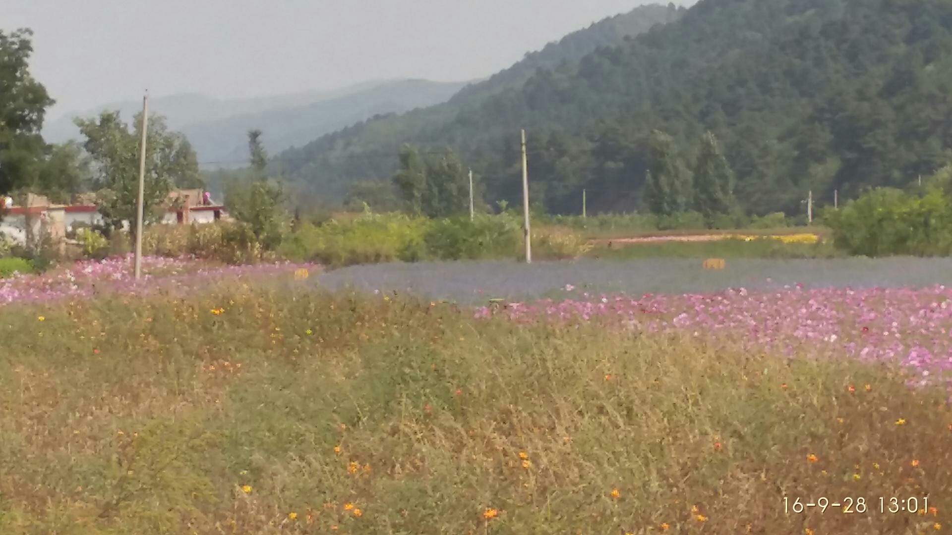 西天取经的路遥遥简谱_西天取经路遥迢简谱