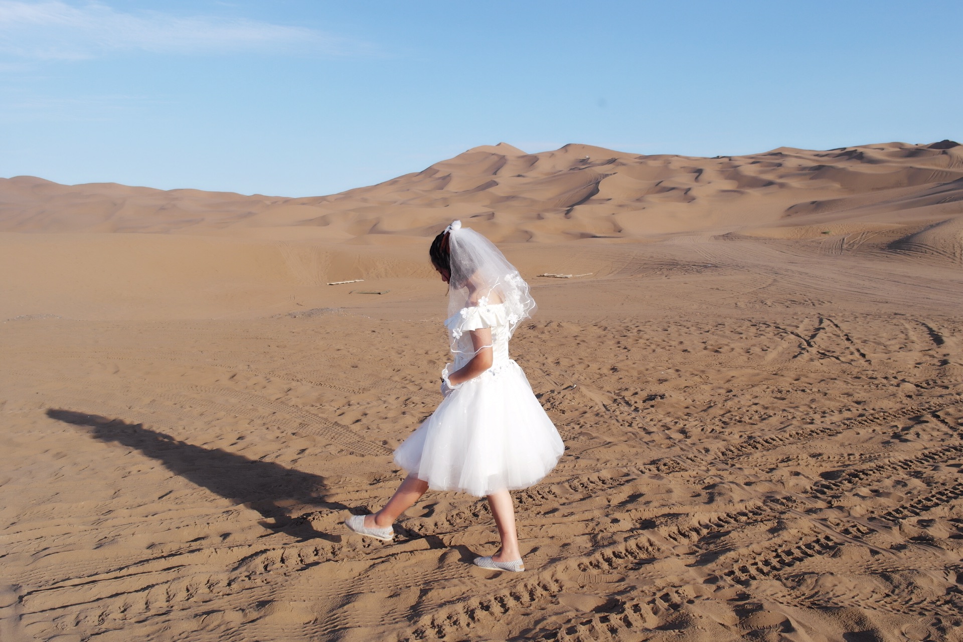 沙漠婚纱照片_沙漠骆驼图片