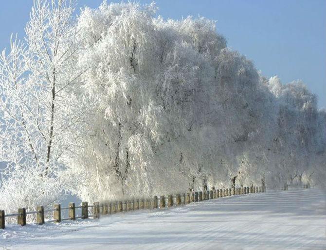 雪鄉自助遊攻略