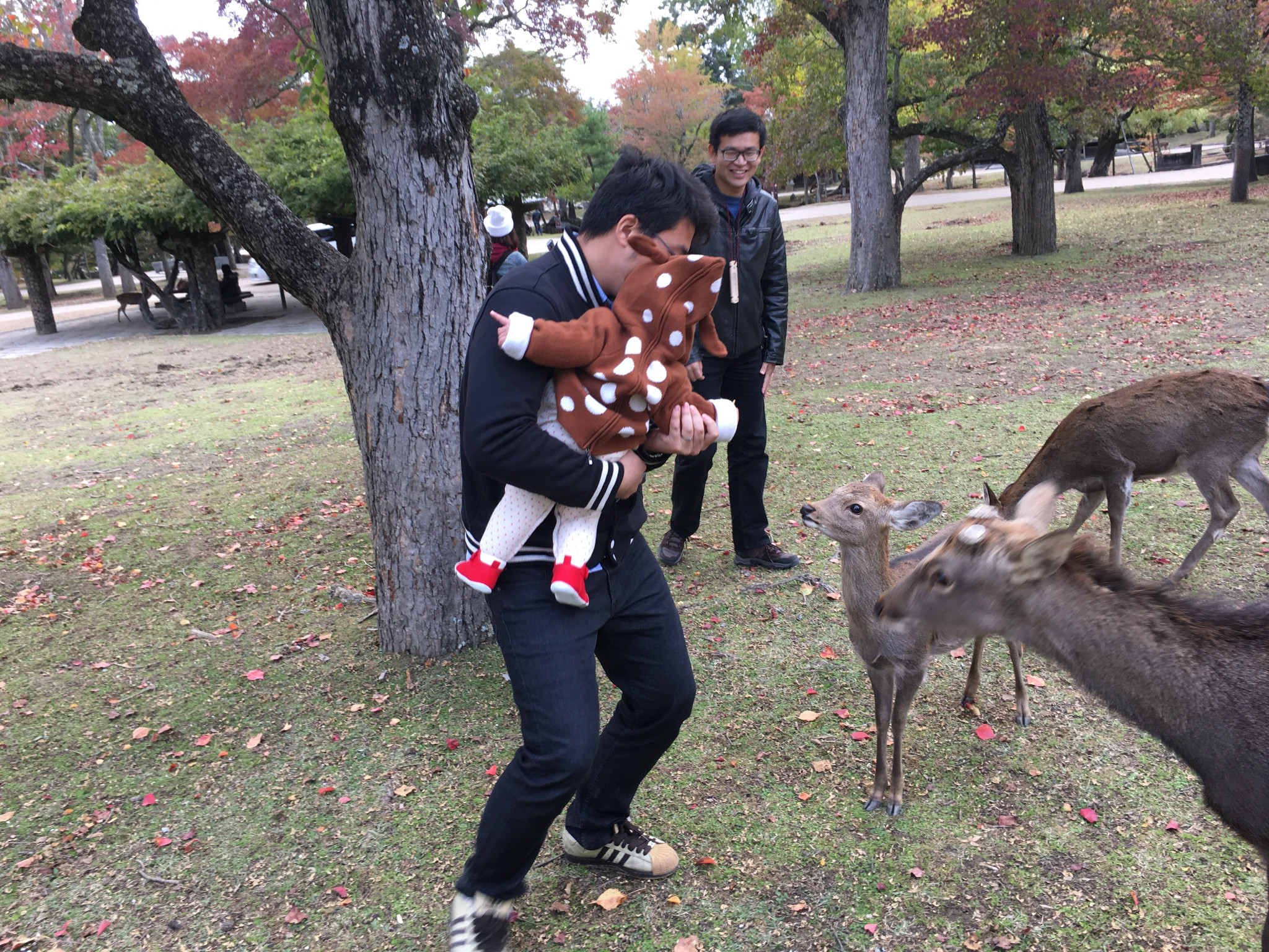 京都自助遊攻略