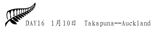 1 1