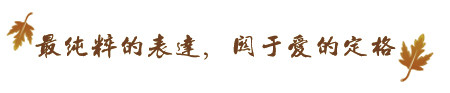 最纯粹的表达,关于爱的定格 最纯粹的表达,关于爱的定格
