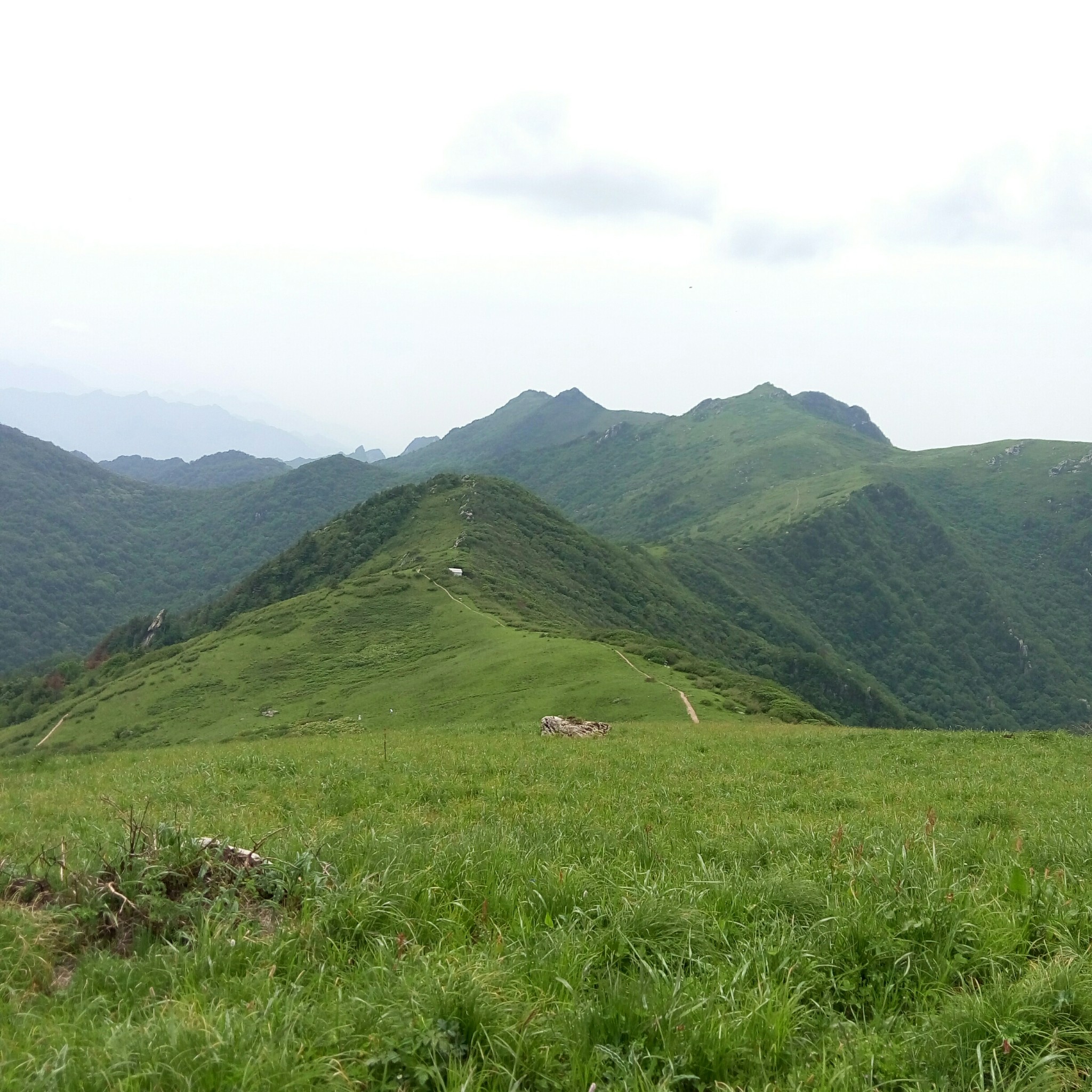 柞水多少人口_柞水溶洞