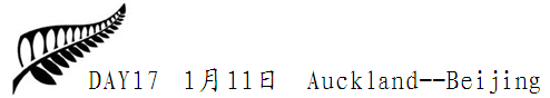 1 1