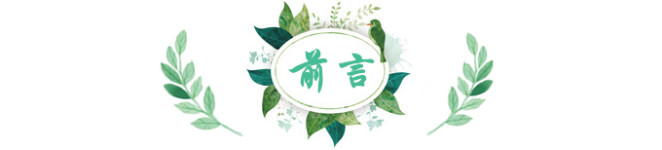 前言 前言