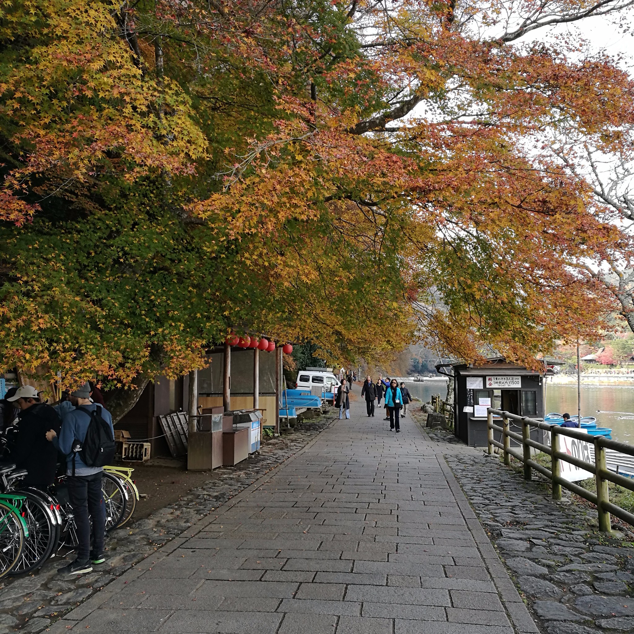 京都自助遊攻略