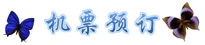 机票预订 机票预订
