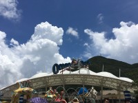 来到海洋公园 来到海洋公园