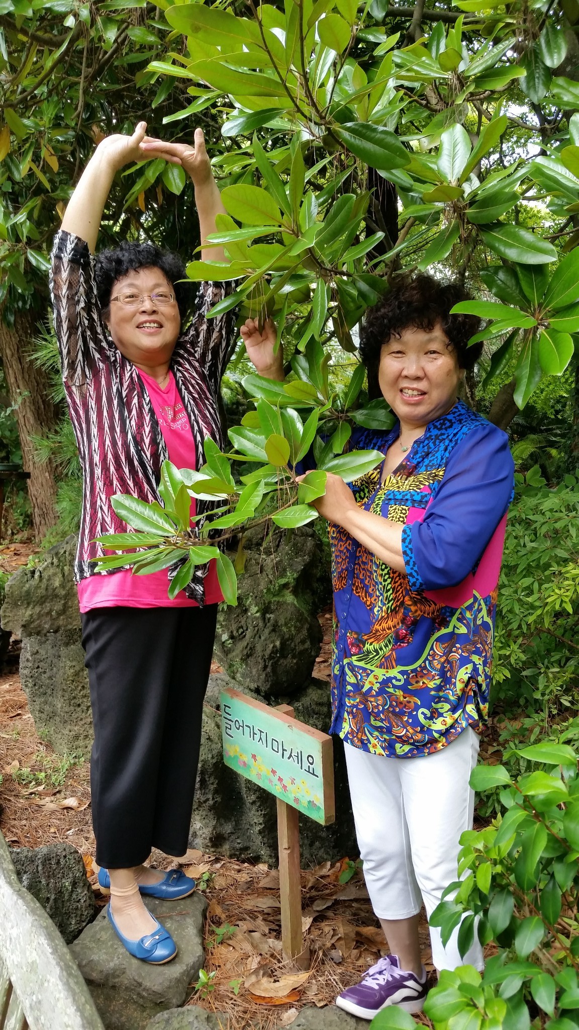 大多为五角形或者六角形.