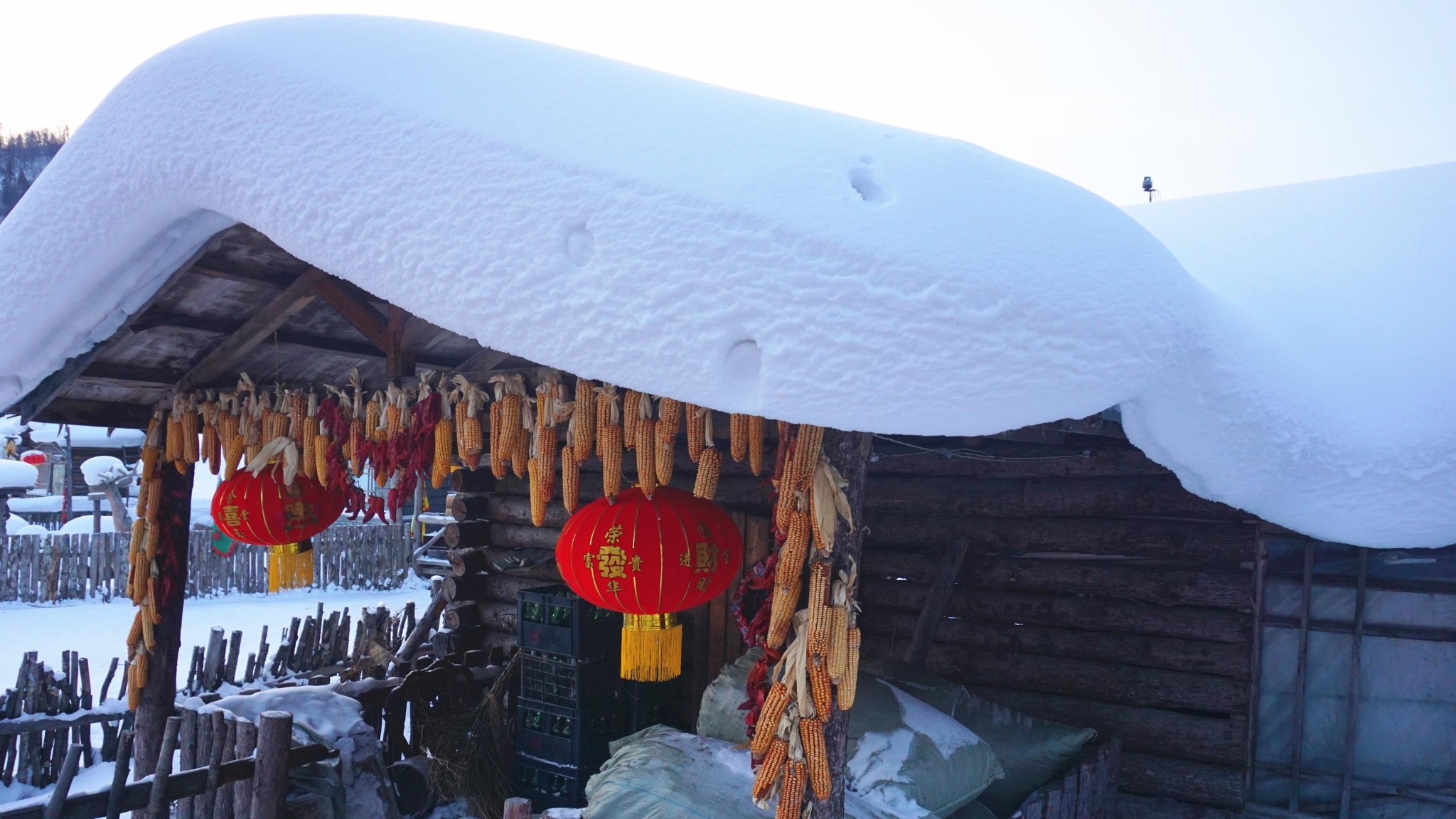 雪鄉自助遊攻略