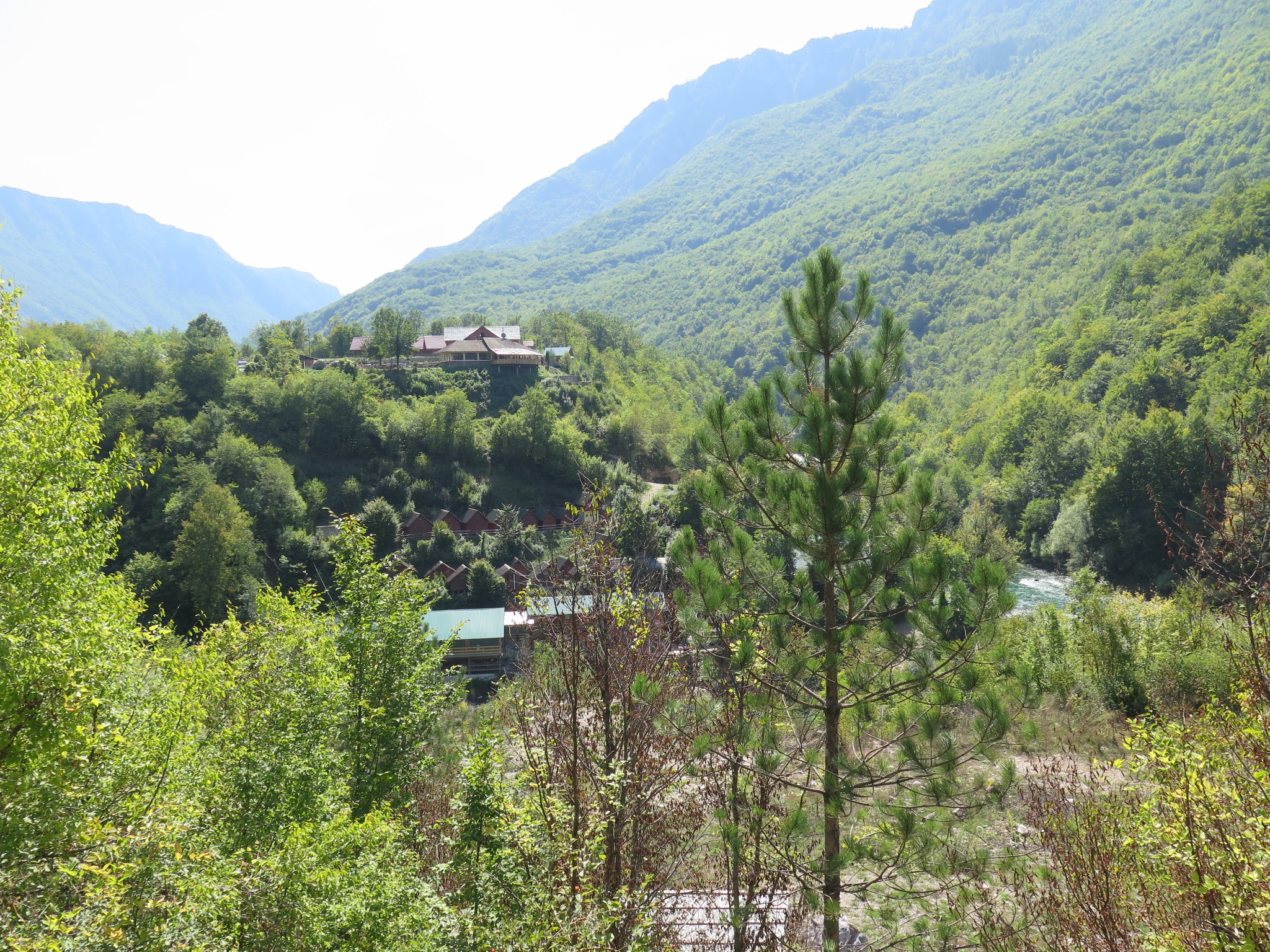 总人口黑山_黑山老妖图片(2)