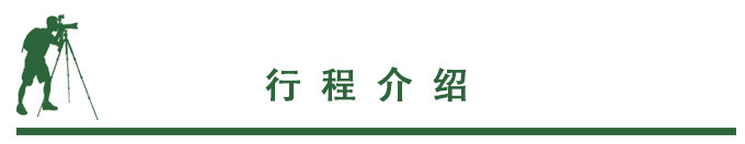 行程安排 行程安排