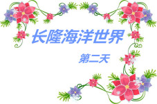 长隆海洋世界第二天 长隆海洋世界第二天