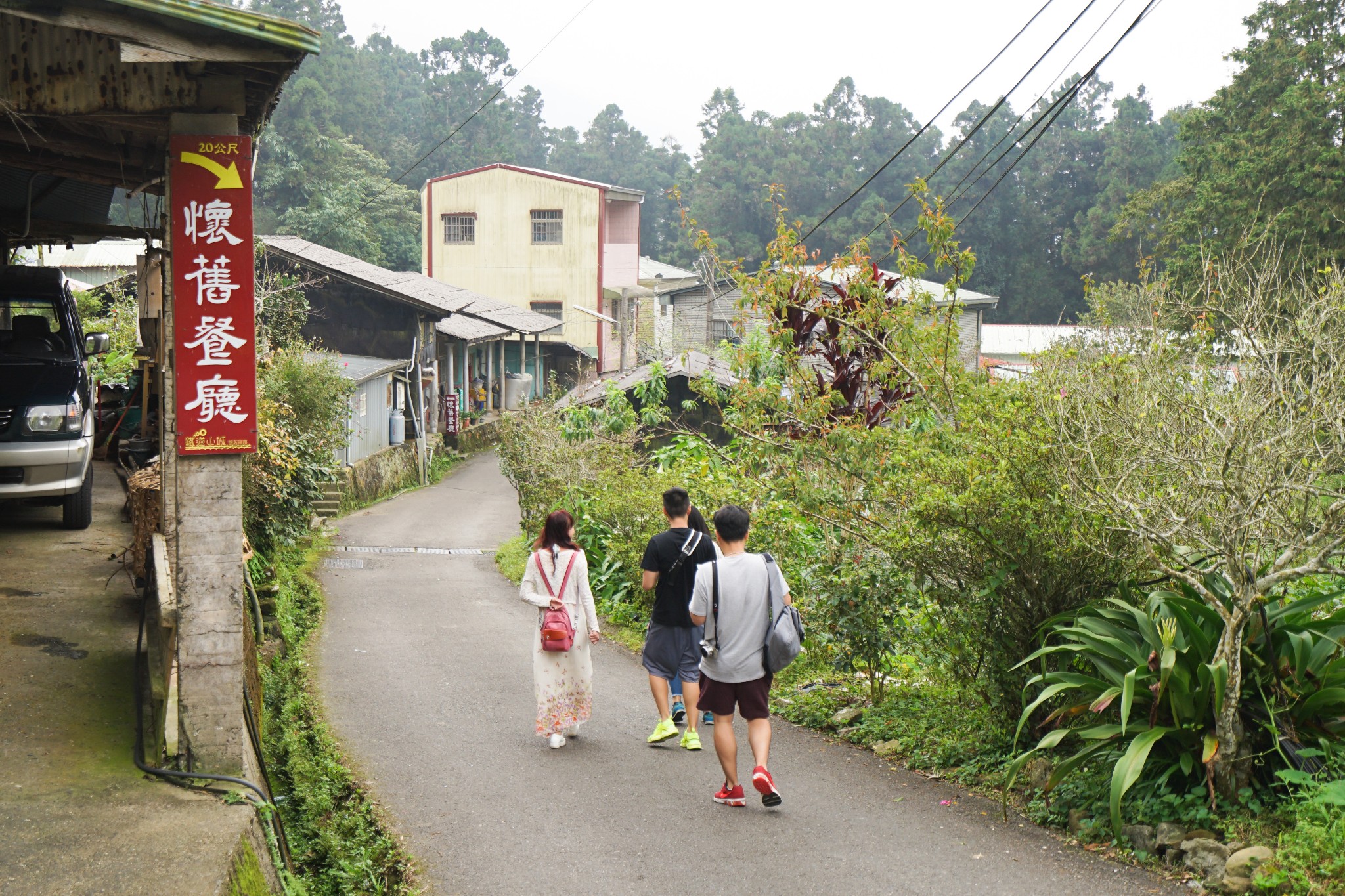 阿裡山自助遊攻略