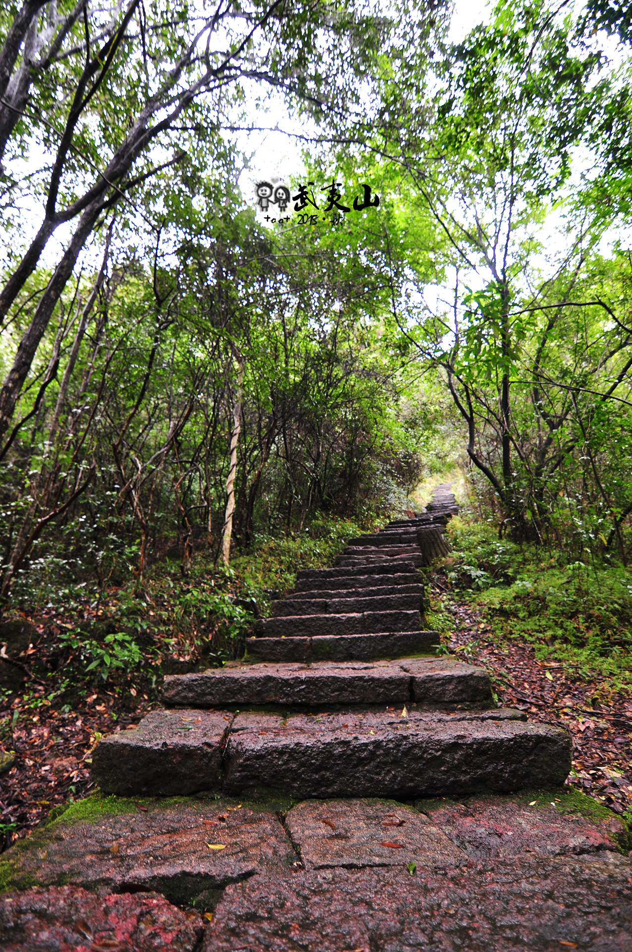 武夷山自助遊攻略