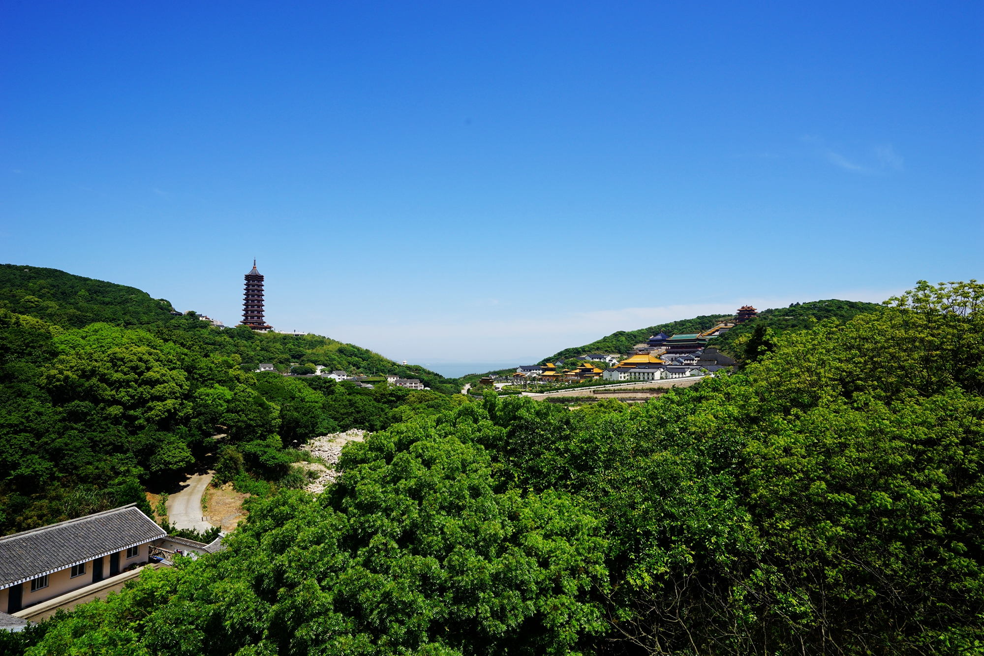 普陀山自助遊攻略