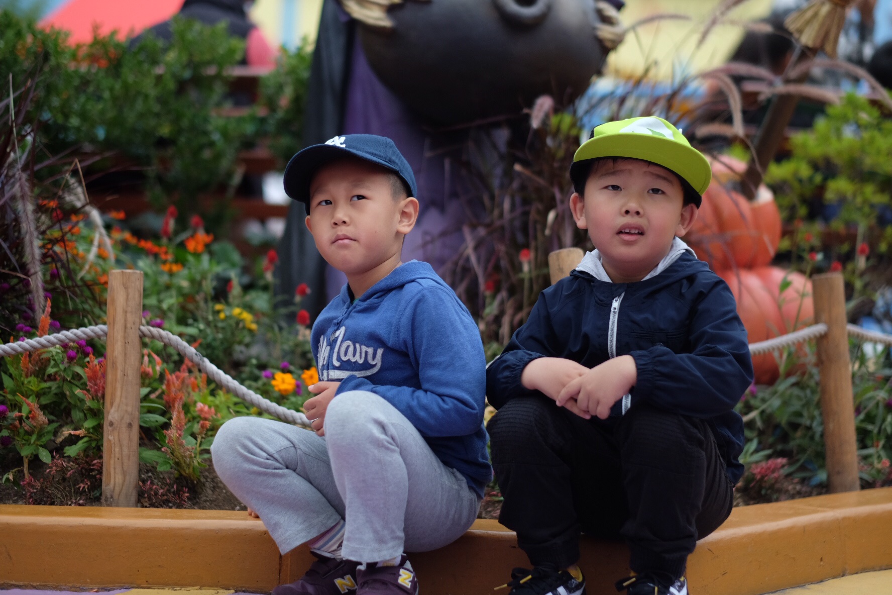 带着俩娃看世界之霓虹国