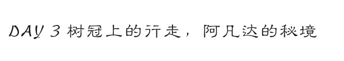树冠上的行走,阿凡达的秘境 树冠上的行走,阿凡达的秘境